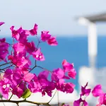 With-inn Mykonos 4*