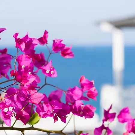 With-inn Mykonos 4*