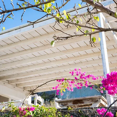 With-inn Mykonos Gæstehus